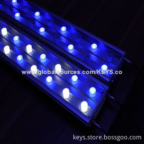 High efficiency 120W LEd Marine Aquarium Lights with CE/RoHS and 3W LEDs, No fan noise